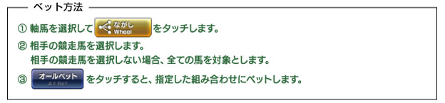 ながしでのベット方法