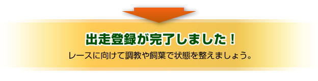 登録が完了しました！