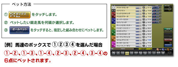 馬券の買い方 ベットゲーム ゲーム内容 遊び方 Starhorse3 スターホース3 アーケード競馬メダルゲーム セガ